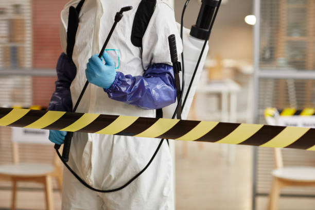 Professional Sewage Cleanup technician working in Conway, NH